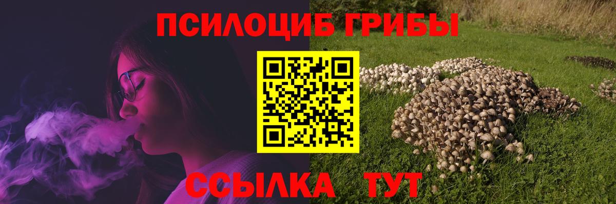 Галлюциногенные грибы MAGIC MUSHROOMS  Вход с VPN  Касимов 